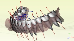 Orthostudio maestro v6